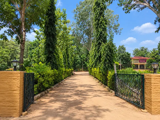 Sandy entrance path lined with hedges and tall trees leading through a green gate towards the resort building