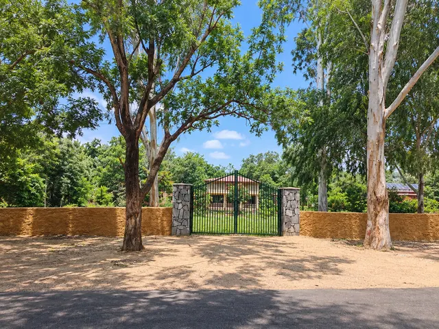 Green metal gate between stone pillars in a brick boundary wall, seen from the road with tall trees on both sides