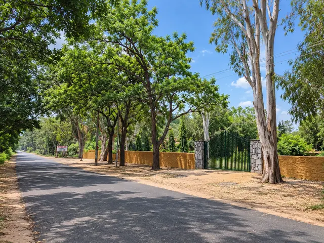 Tree-lined tarred road leading to the entrance gate of Roopam Resort