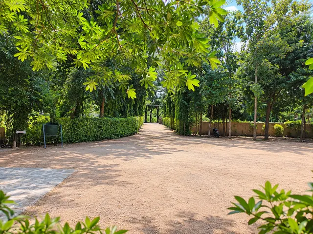 Wide sandy garden clearing with a clipped hedge and a pathway leading between tall shady trees